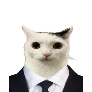 👨‍⚖️