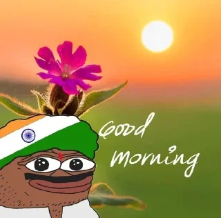 🌅