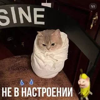 😮‍💨