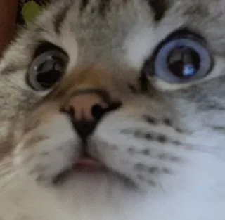 😛