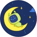 🌜