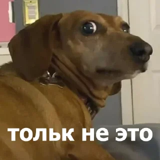 🫣