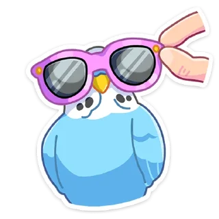 😎
