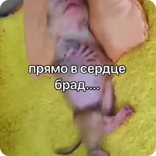 🌟
