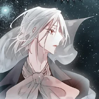 🌟