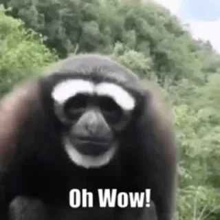 😯