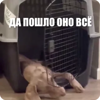 😠