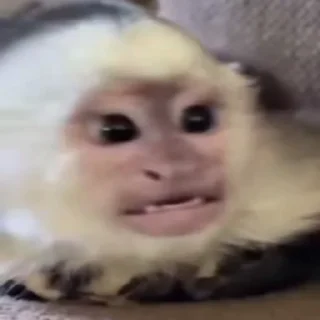 😡