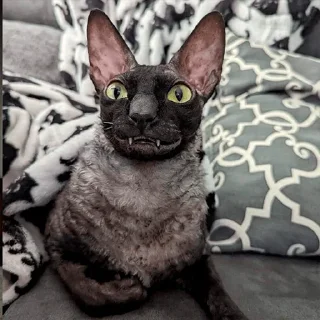 😛