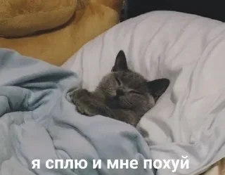 😴