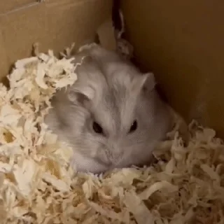 😯