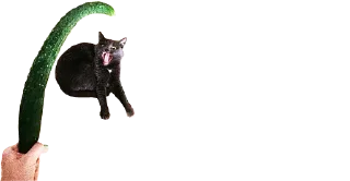 🥒