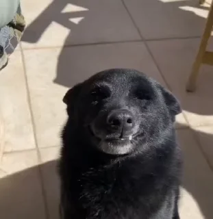 😏
