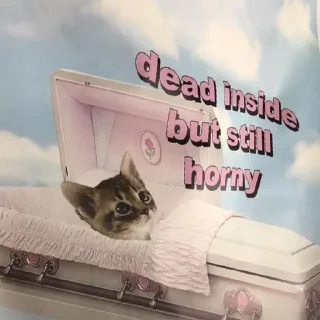 😶