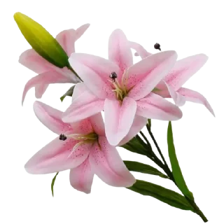 🌸