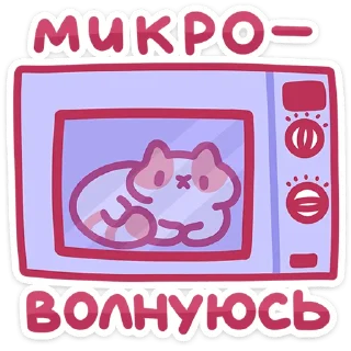 🐱