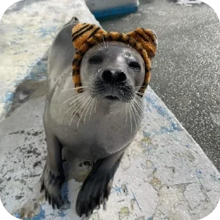 ❤
