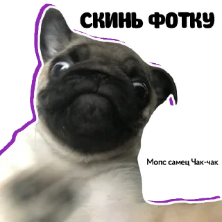 😁
