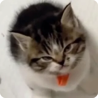 😡