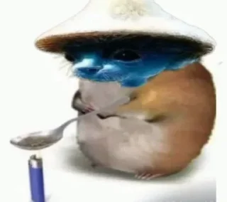 🐱