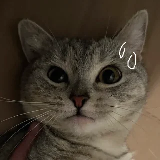 😕
