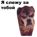 😠