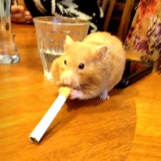 🚬