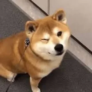 😉