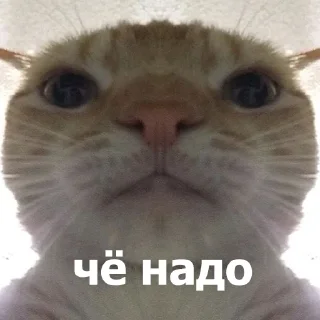 😐