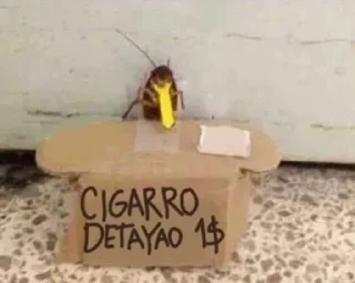 🚬