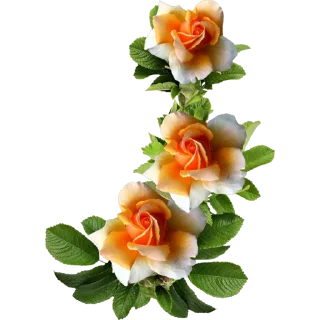 💐