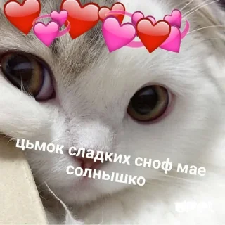 ❤