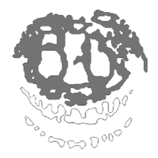 💀