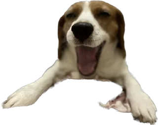 😀