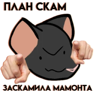 🐀