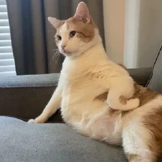 😐
