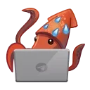 👨‍💻