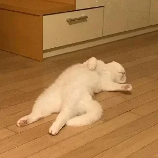 😵