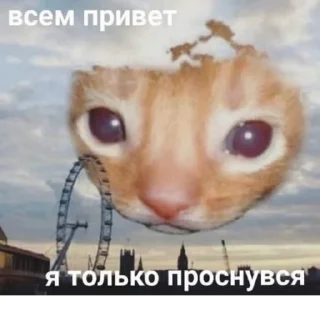 😁