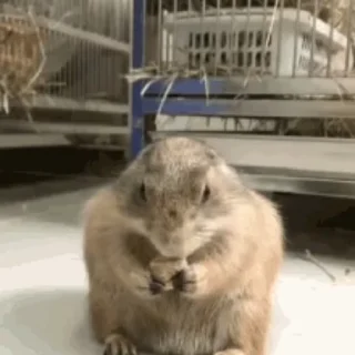 😳