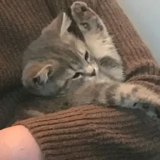 ❤️