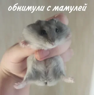 🤗