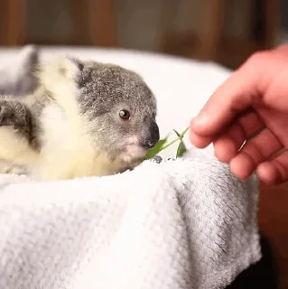 😙