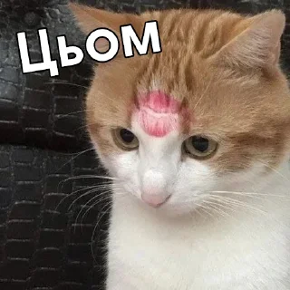 😘