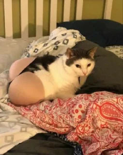 🌚