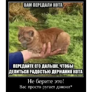 ✋