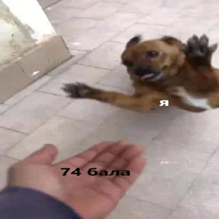 😭