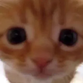 🥺