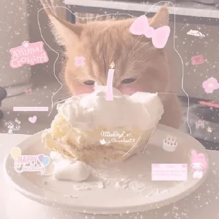 💗