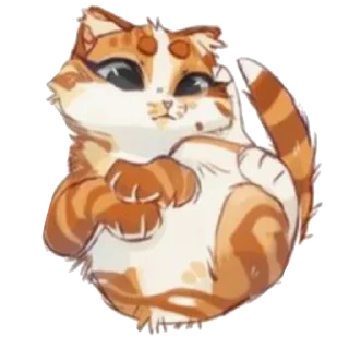 🐱